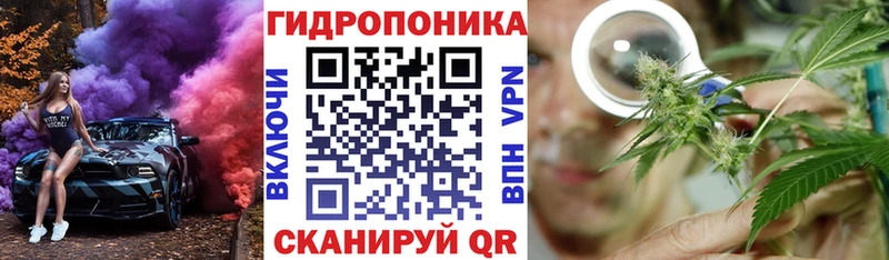 наркошоп Лениногорск Шишки марихуана план